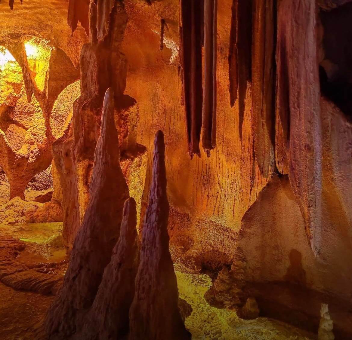 Gold Coast Glow worm caves