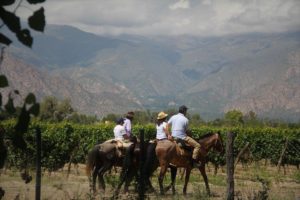 Horseback riding Peru