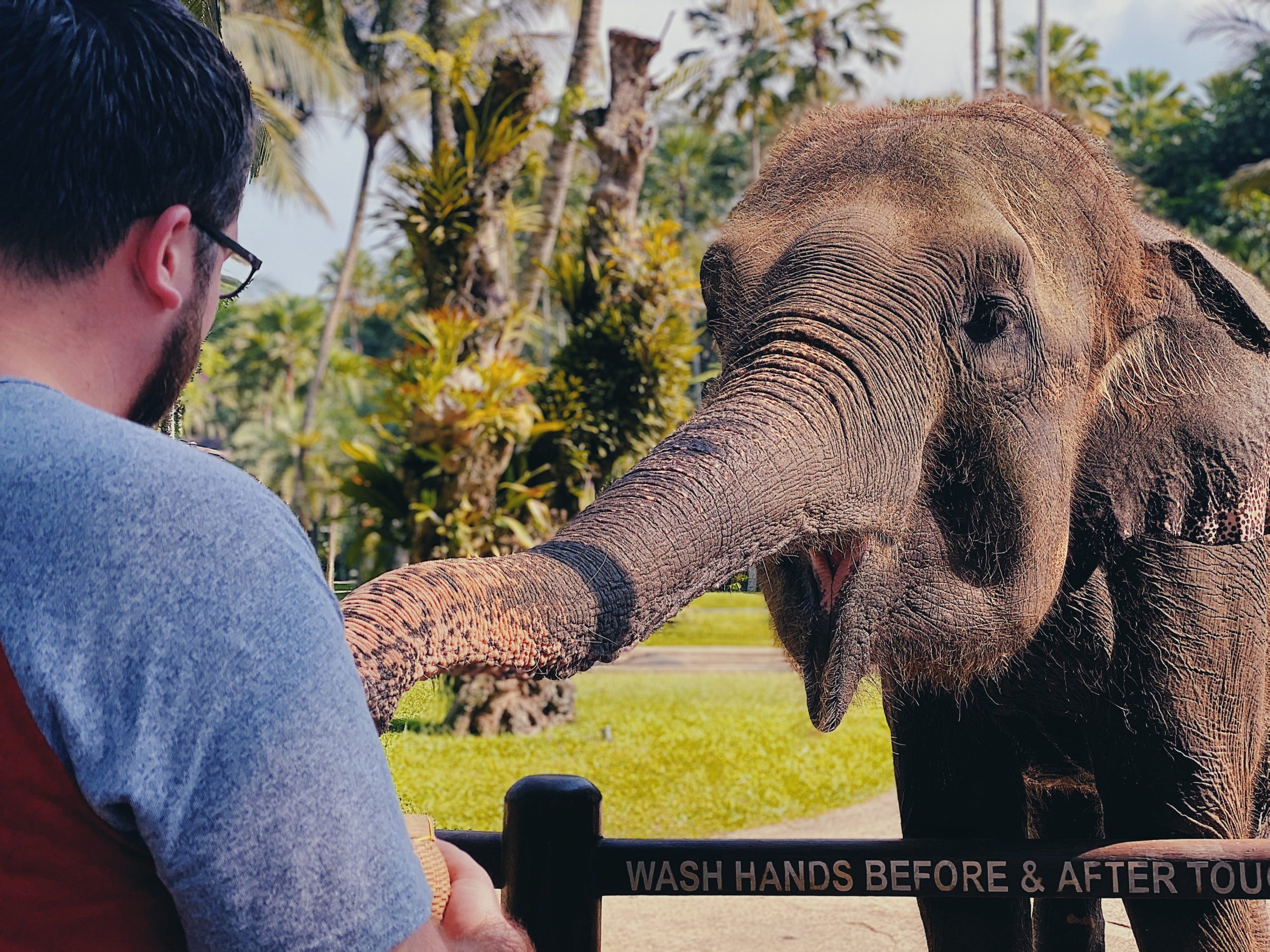  wash Elephants Bali