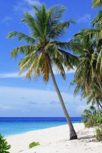 Saint Lucia best kept secret beach