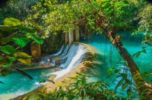 Kawasan falls Cebu adventure