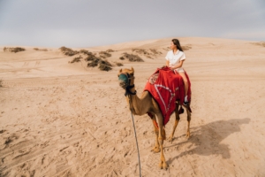 Dessert camel ride Qatar