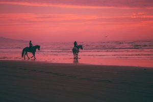 Horseback riding Turks and Caicos