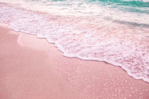Horseshoe Bay pink sand beach Bermuda