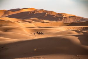 Erg Chebbi dunes Morocoo