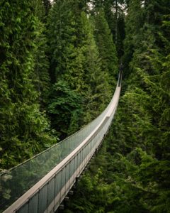Capilano suspension bridge Vancouver