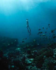 Snorkeling or Diving Around The Big Island