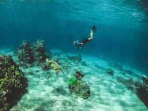 Yucatan Snorkeling With Sea Turtles