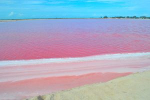 Las Coloradas Pink Beach Mexico