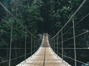 The Senda de Los Pantaneros Hanging Bridges Trail