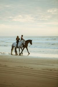 Horseback Riding Along the Beach