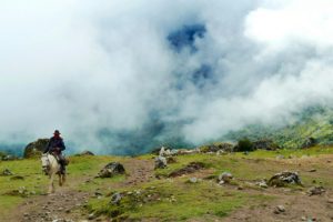 Mountain horse riding Montenegro