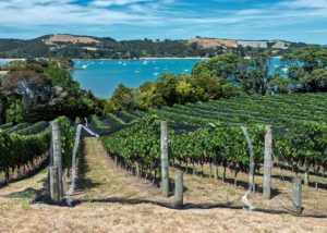 Waiheke Island, New Zealand