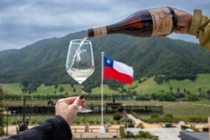 Chile Wine