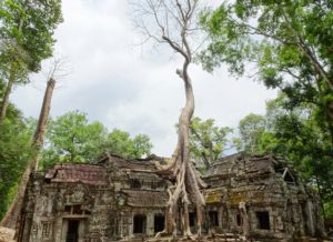 Ta Prohm