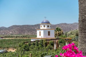 Valle de Guadalupe, Mexico