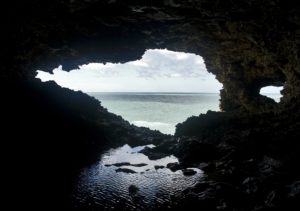 Animal Flower Cave