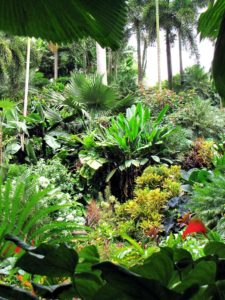 Hunte’s Gardens