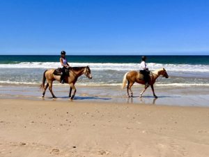 Horse riding on the beach Fiji