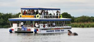 Safari Boat Cruise on the Zambezi River