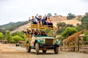 Safari West — California