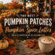 Pumpkin Patches