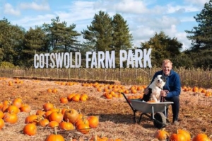Cotswold Pumpkin Farm